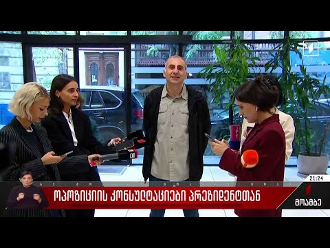 ოპოზიციის კონსულტაციები პრეზიდენტთან