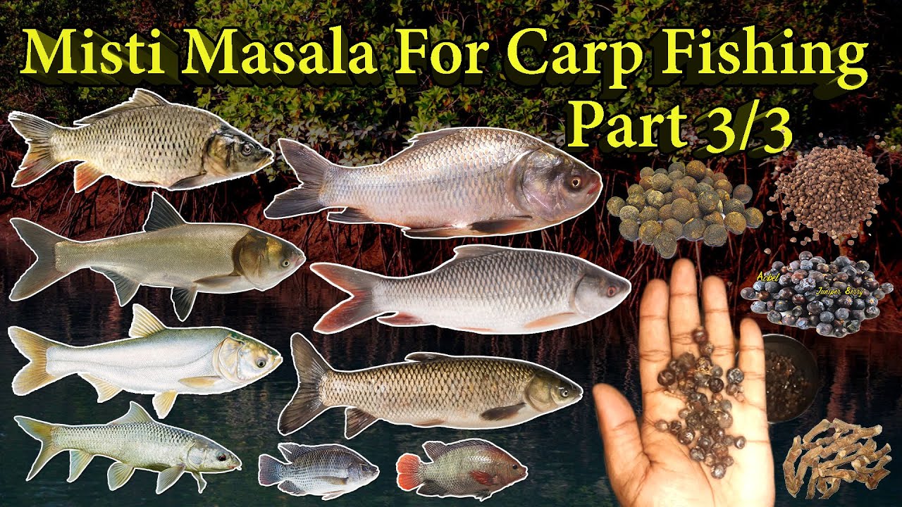 Misti Masala For Carp Fishing Part 3 of 3