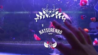 mv Natsurenbo cover By Gisela Anggreini