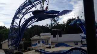 Seaworld Orlando - Tricks at the Dolphin Show