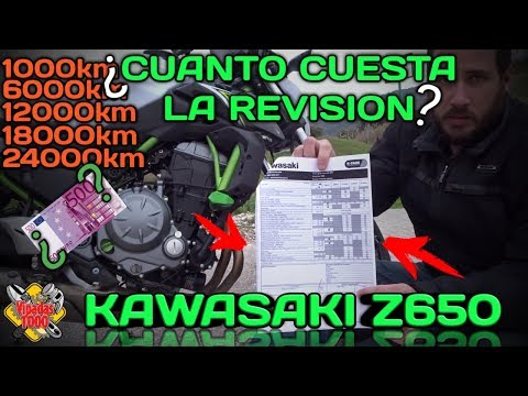 Vídeo: Kombiflox: Instrucciones De Uso, Precio, Revisiones, Análogos De Tabletas