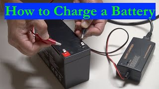 How to Charge a Batterylead acid and lithiumion batteries (2021)