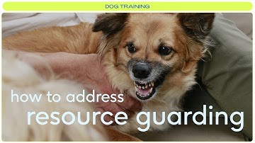 Resource guarding: how to fix and prevent it