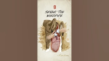 How to field dress a deer.