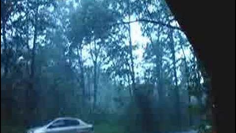 Storm Knock Down Tree, 70 mph Wind