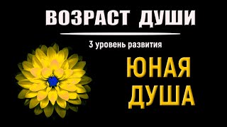 ✅ Возраст Души 3-й уровень развития. ЮНЫЕ ДУШИ. Как определить возраст души