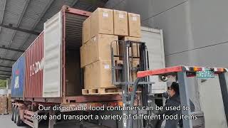 Einwegverpackungsbox, Biologisch Abbaubarer Lebensmittelbehälter, Preis, China-Anbieter