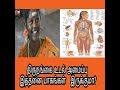 திரு நங்கைகள் உடல் அமைப்பு எப்படி இருக்கும்?  காதல் உணர்வு உண்டா ?  How can the transgender body