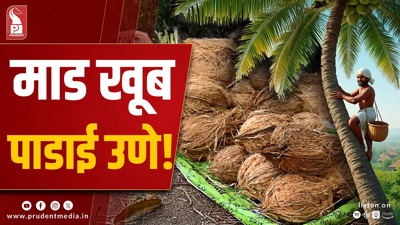 Coconut Prices Rise Amid Decline in Yield