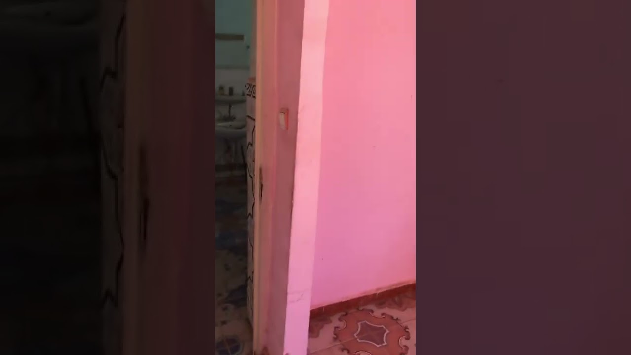 شقة ف3 للبيع في حي لابريمار apparemment pour vent