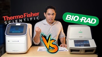 Thermo QuantStudio 5 vs Bio-Rad CFX384 | Which PCR is BETTER???