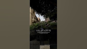 بدر التركي سورة نوح تلاوة جميلة جداا #تلاوة_خاشعة #بدر_التركي #القرآن #رمضان #راحة_نفسية