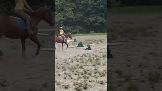Doing raised poles with Ruby🐴❤