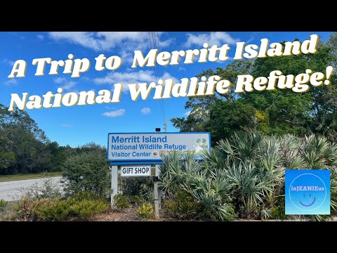 A trip to the Merritt Island National Wildlife Refuge!