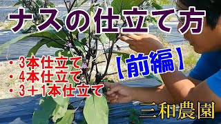 なすの仕立て方 3本仕立て 4本仕立て 前編no302 Youtube