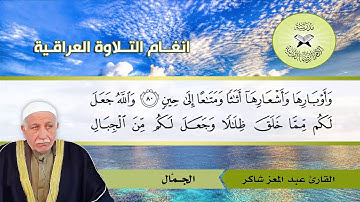 السيكا والجمال  - القارئ عبد المعز شاكر -  سورة النحل