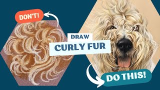 How to draw curly dog fur (best technique for pastel pencils!) screenshot 3