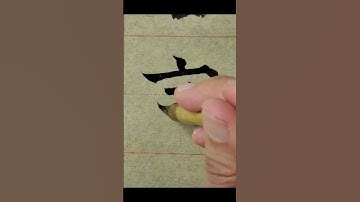 毛笔字练习#78  中國書法楷書練習臨帖【言】| Chinese Calligraphy practise