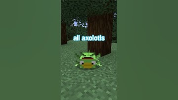 making you a custom minecraft mob part two... #minecraft #mcyt #minecraftshorts #shorts