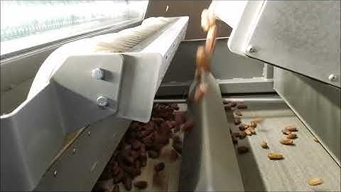 Savage Date Sorter 2 2019