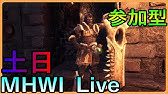 Mhw 竜骨中の超簡単な集め方 周回方法 意外なクエストがオススメ モンハンワールド Youtube