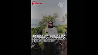 Kupandang- pandang(cinta dari seberang)remix terbaru 2025 ferlin profer 💥🔥