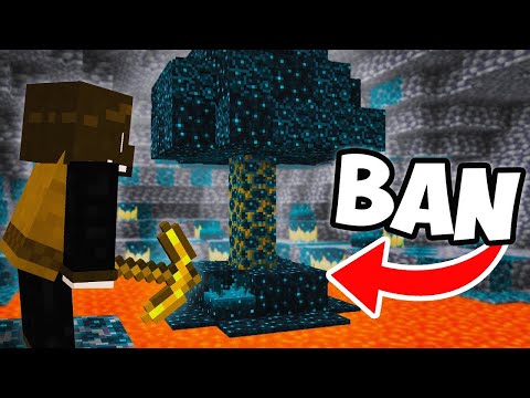 This Minecraft Biome