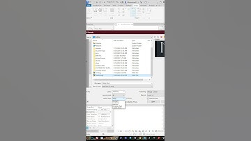 import cad in Revit 2025