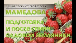 Подготовка и посев семян садовой земляники