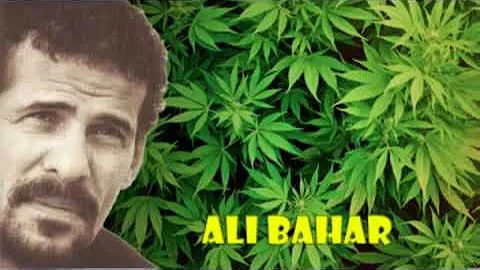 Ali bahar song