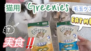 猫用Greeniesグリーニーズ毛玉ケア ツナ味・チキン味【レビュー】【癒し動画】Greenies for cats.Hairball care【Review】【Healing video】