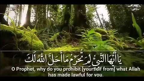 سورة التحريم بصوت القارئ اسلام صبحي و بخط واضح و جميل