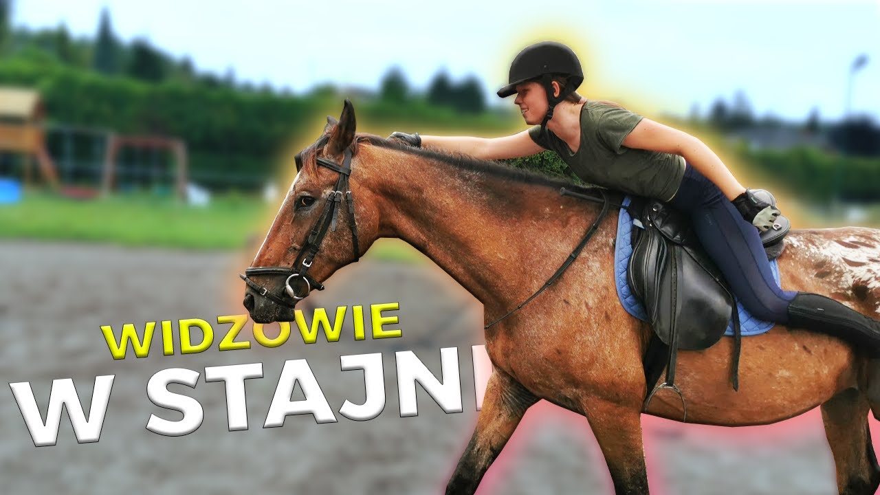 POPROWADZIŁAM TRENING JAZDY KONNEJ MOIM WIDZOM