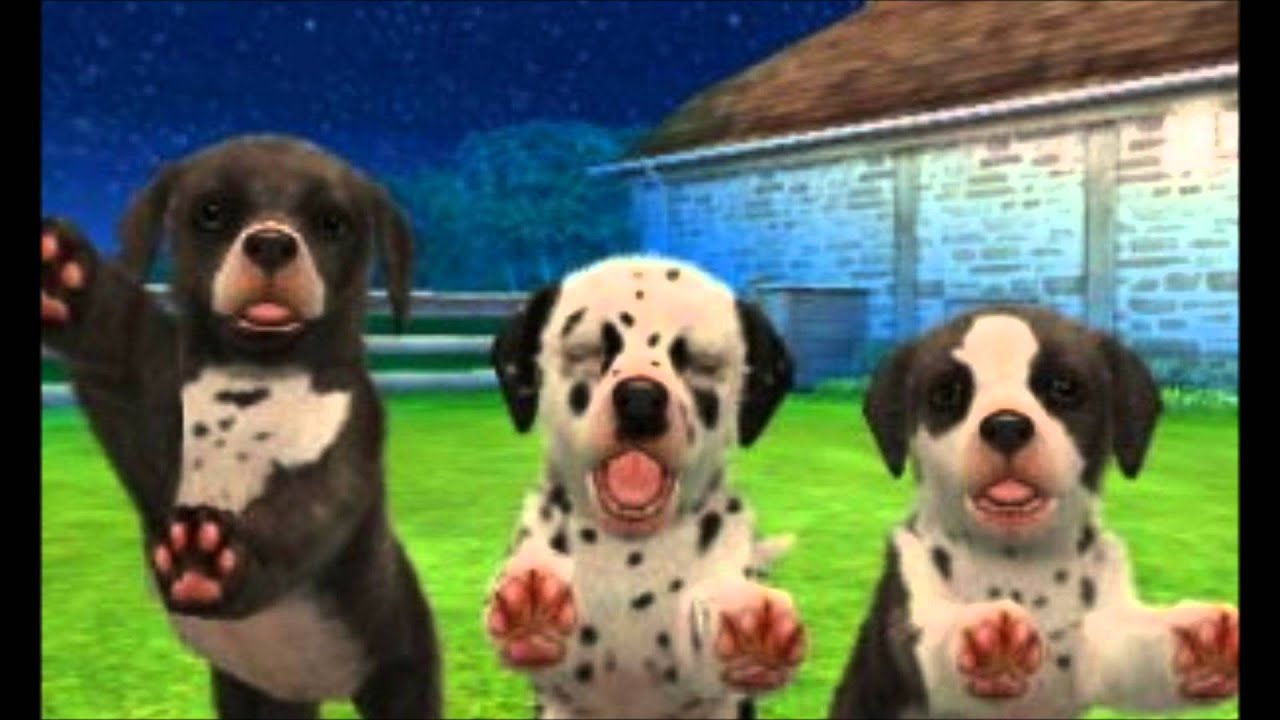 How To Get A Free Dog On Nintendogs How To Get A Free Dog On Nintendogs