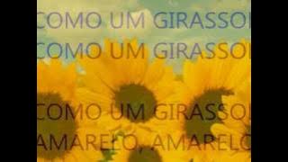 Girassol - Cidade Negra