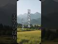 懐かしい曲『美空ひばり - 陽気な渡り鳥』懐メロ ショートMV作ってみた!