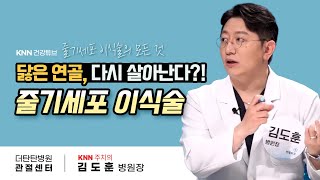 [더탄탄병원] 닳은 연골, 다시 살아난다?! 줄기세포 이식술에 관한 모든 것(관절센터 김도훈 병원장 출연)