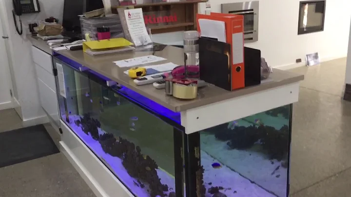 Front counter aquarium at Jeremy McPherson plumbing