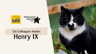 Henry IX | National Cat Awards 2023: Cat Colleague finalist by Cats Protection 2,013 views 10 months ago 1 minute, 30 seconds