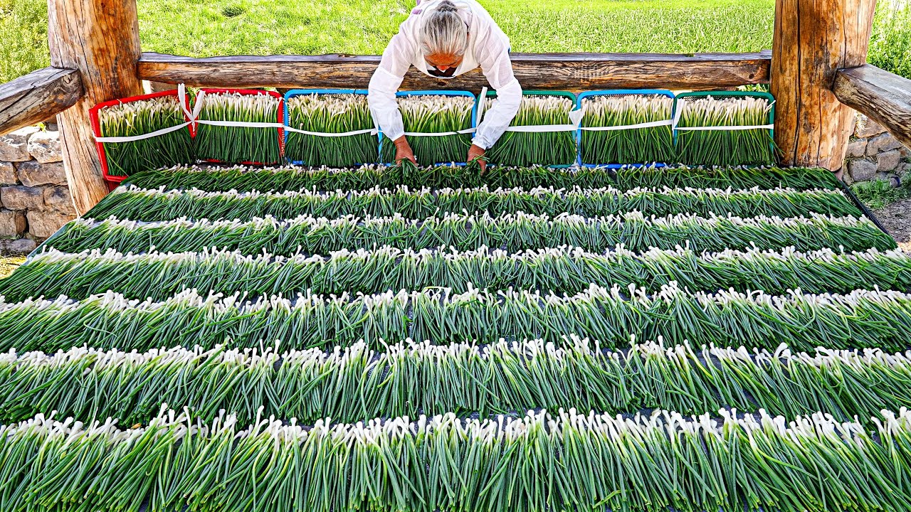 Прекрасная бабуля готовит! Блюда готовятся на большой железной сковороде, единственной в мире.