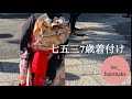 七五三7歳着付け