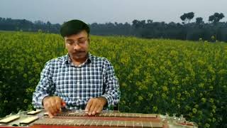 Nam rekhechi bonolata // Shyamal Mitra//Guitar Cover By Bikash Bain.