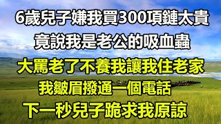 6歲兒子嫌我買300項鏈太貴，竟說我是老公的吸血蟲，大罵老了不養我讓我住老家，我皺眉撥通一個電話，下一秒兒子跪求我原諒#橙子的小说