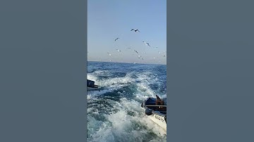 #راحة نفسية القرآن الكريم #تيك_توك #explore
