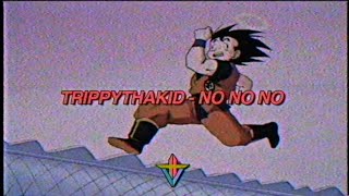 TrippyThaKid - no no no (Prod. Peso Piddy)