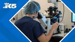 Clinic expands to Bellevue as demand for infertility treatment rises in Washington state