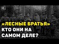 ВСЯ ПРАВДА О ЗВЕРСТВАХ «ЛЕСНЫХ БРАТЬЕВ» В ПРИБАЛТИКЕ ВРЕМЁН СССР