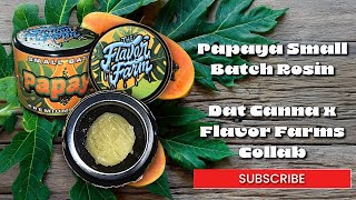 Is This Papaya Rosin Worth It? | Dat Canna x The Flavor Farm Review