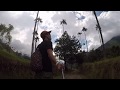 Travel in 1min: Cocora Valley Hike