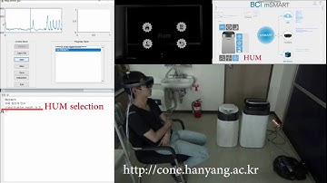 Development of an Online Home Appliance Control System Using Augmented Reality and SSVEP-Based BCI